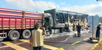 Düzce'de Trafik Kazaları Artıyor: 19 Ölü, 449 Yaralı