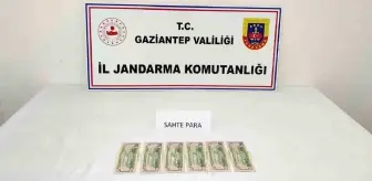 Gaziantep'te Sahte Dolar Piyasaya Süren Şahıs Suçüstü Yakalandı