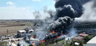 Tekirdağ'da Kimya Fabrikasında Yangın Çıktı