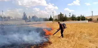 Mardin'de Ot Yangını Kontrol Altına Alındı