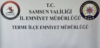 Samsun'un Terme ilçesinde ruhsatsız silahlar ele geçirildi