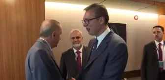 Cumhurbaşkanı Erdoğan, Sırbistan Cumhurbaşkanı Vucic ile görüştü