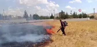 Mardin'de Ot Yangını Kontrol Altına Alındı