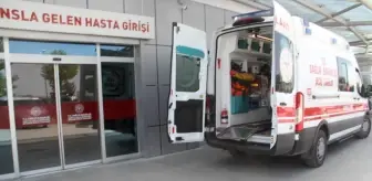 Beyşehir'de Ceviz Ağacından Düşen Kişi Yaralandı