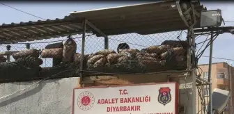 Diyarbakır Cezaevi Davasında Zaman Aşımı: Yargıtay Kararından Sonrası