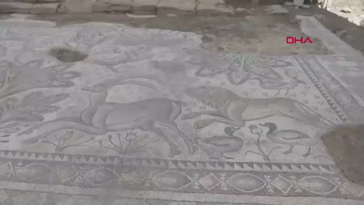 Elazığ'da Roma Dönemine Ait Büyük Mozaik Bulundu