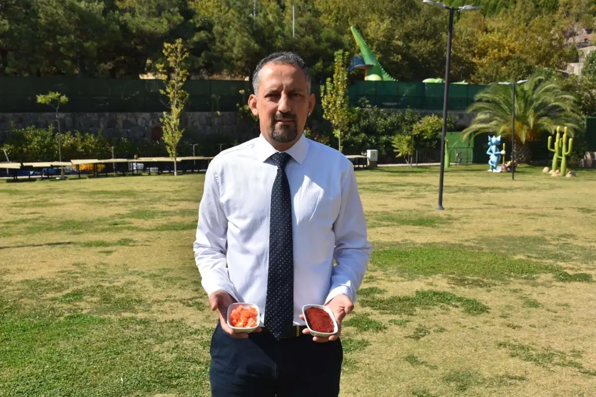 Gıda Mühendisleri'nden Salça Üretimi İçin Uyarı