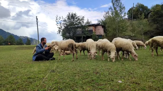 Yurt dışına gitti, 2 üniversite bitirdi, çobanlık yapıyor!