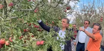 Isparta'da Dolu Felaketi: 16 Bin Dekar Elma Bahçesi Zarar Gördü