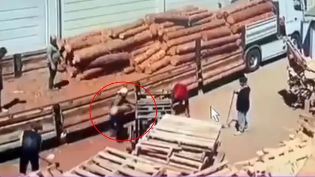 The tragic fate of the worker trapped under the logs! The camera captured the moment of death like this.