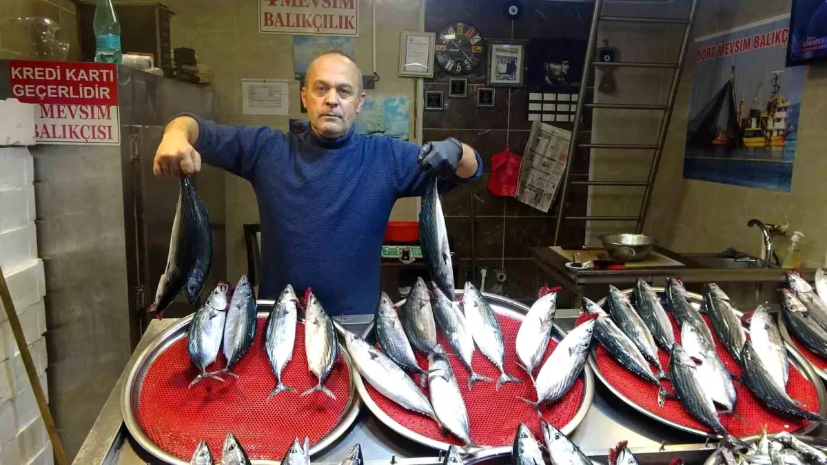 Palamut Fiyatları Tavan Yaptı: Av Miktarı Düşüyor