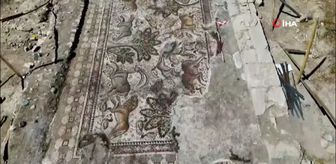 Elazığ'da Tek Parça Mozaik Bulundu: 84 Metrekarelik Tarihi Eser