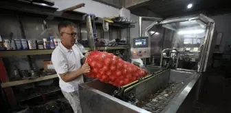 Çanakkaleli Girişimci, Yazılım Destekli Soğan Soyma Makinesi İle Seri Üretime Geçti