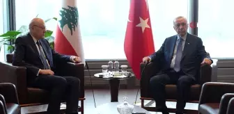 Cumhurbaşkanı Erdoğan, Lübnan Başbakanı Mikati'yi kabul etti