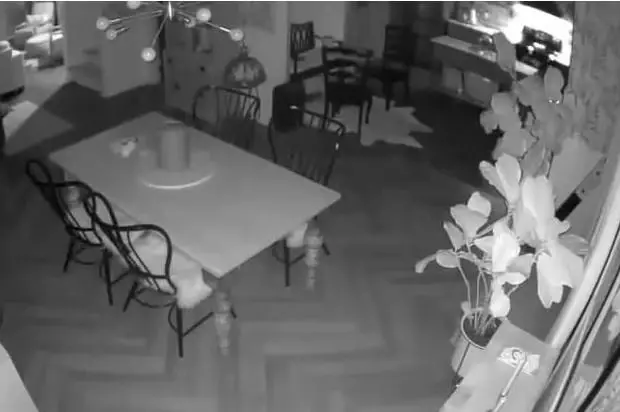 On the anniversary of his death, a woman was shocked to see her husband's ghost on the security camera.