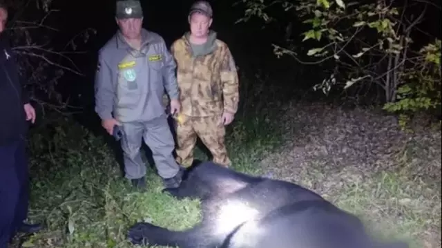 A bear that entered a house at night in Russia killed a father and his son.