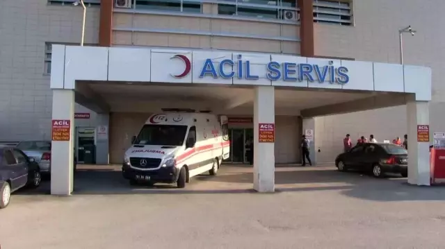 A 78-year-old woman was seriously injured in Niğde after being attacked by a stray dog.