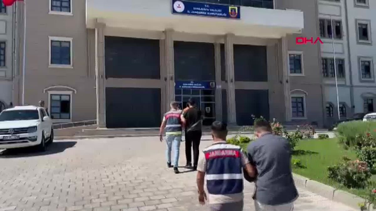 Sahte İlanlarla Dolandırıcılık: 10 Şüpheli Gözaltında