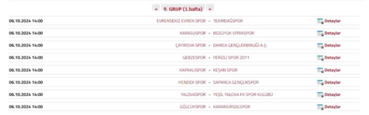 Amatör lig BAL LİGİ ne zaman başlıyor 2024-25?