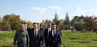 Bitlis Valisi Ahlat'ta Tarihi Ziyaretlerde Bulundu