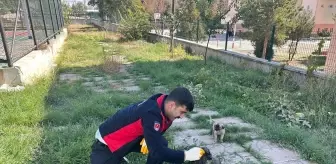 Sungurlu'da İtfaiye Ekipleri Sıkışan Kedi ve Köpek Yavrusunu Kurtardı