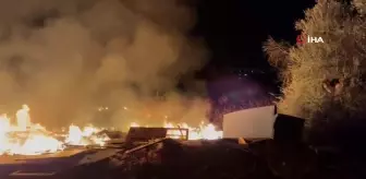 Edremit'te Zeytinlik Alanda Yangın Çıktı
