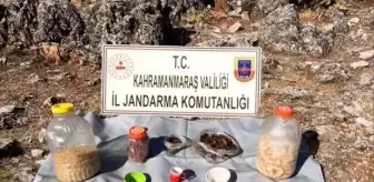 Kahramanmaraş'ta PKK'ya Ait Yaşam Malzemeleri Ele Geçirildi