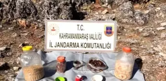 Kahramanmaraş'ta Terör Örgütüne Ait Yaşam Malzemesi Ele Geçirildi