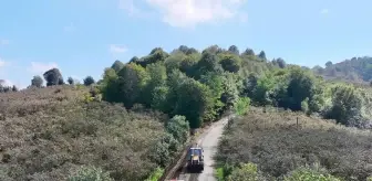 Terme Belediyesi'nden Yolda Düzenleme Çalışması