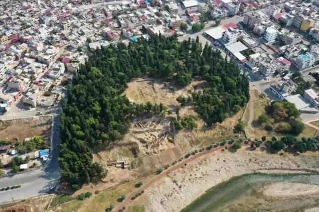 Two types of wheat that are 9,000 years old have been discovered at Yumuktepe Mound.