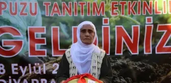 Diyarbakır'da 14. Karpuz Tanıtım Etkinlikleri Düzenlendi