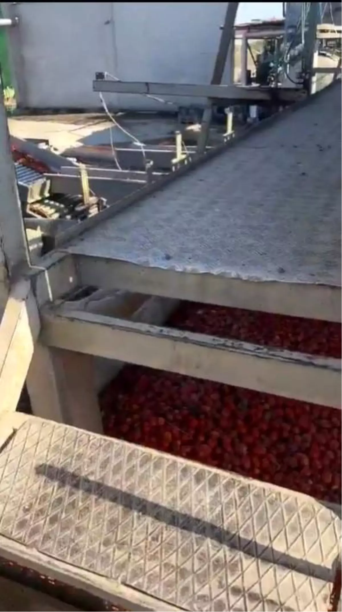 Manisa'da Hijyenik Olmayan Salça Üretimi Durduruldu