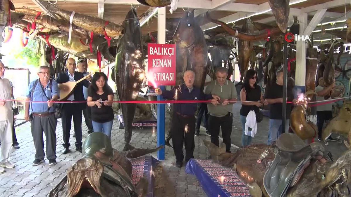 Denizlerde Palamut ve Kılıç Balığı Bolluğu Fiyatları Düşürdü