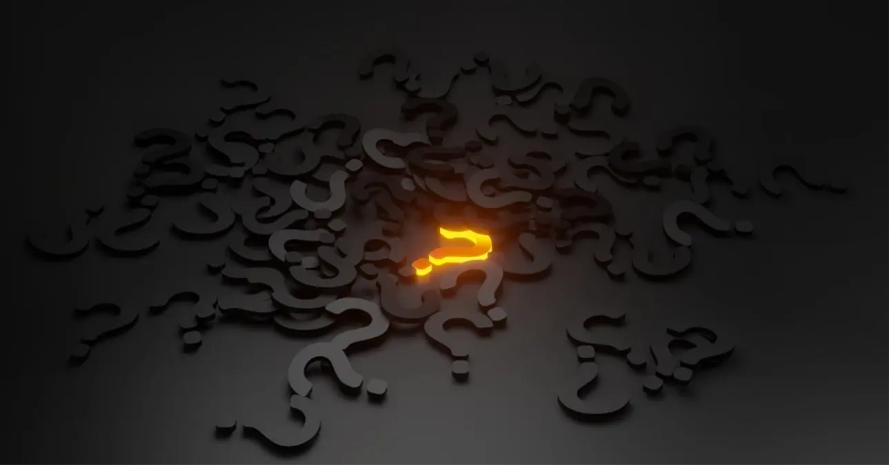 'Sırım gibi ne anlama gelir?' Kim Milyoner Olmak İster yarışmasında sorulan soru!