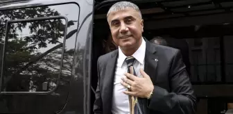 Sedat Peker parti mi kuruyor? Avukatının kullandığı ifade dikkat çekti