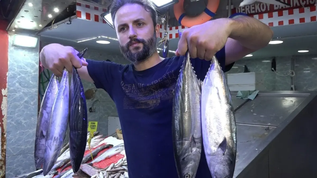 Samsun'da Palamut Fiyatları Artıyor