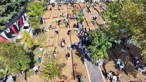 Ataşehir Belediyesi 'Kent Bostanı' projesini hayata geçirdi