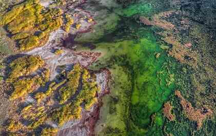 Çeçen Adası nerede? Çeçen Adas değeri ne kadar, satılık mı?