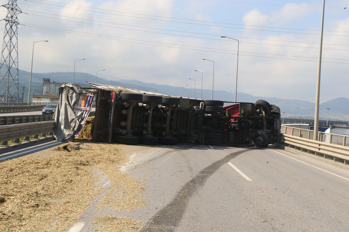 Samsun'da TIR Kaza Yaptı, Sürücü Arı Sokmasıyla Kontrolü Kaybetti