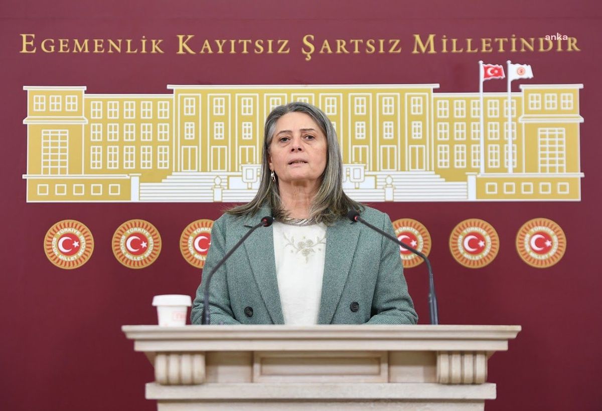 Sibel Suiçmez'den Evde Bakım Yardımları İçin Soru Önergesi