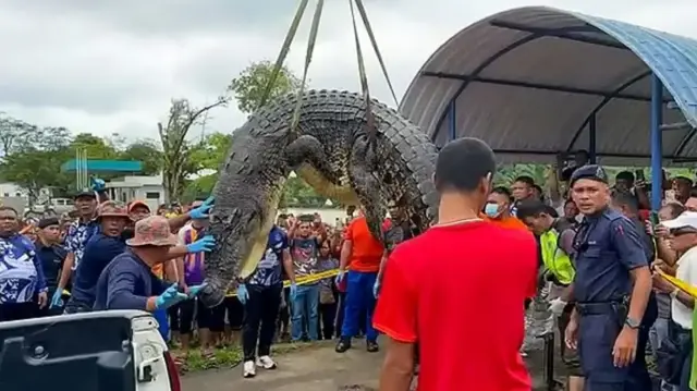 The body parts of a 6-year-old girl who had been missing for a long time in Malaysia were found in the stomachs of 2 crocodiles.