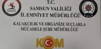 Samsun'da Silah Kaçakçılığı Operasyonu: 2 Gözaltı