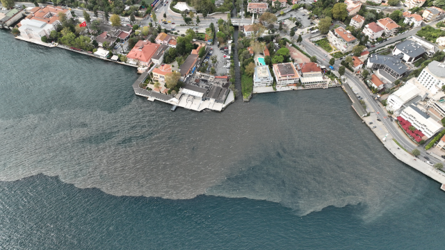 The current state of the Istanbul Bosphorus is horrifying!