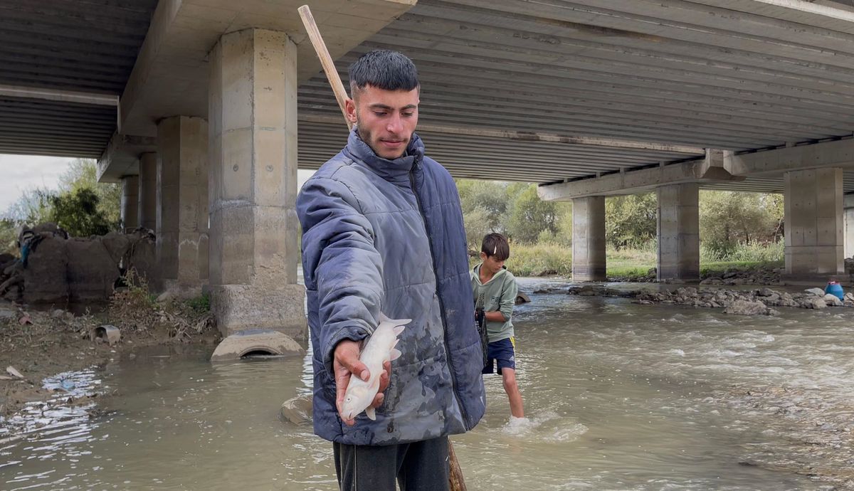 Muş'taki Karasu Nehri'nde Balık Ölümleri Tedirginlik Yarattı