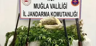 Muğla'da Uyuşturucu Ticareti Yapan İki Şüpheli Tutuklandı