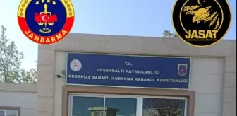 Antalya'da Jandarma 24 Saatte 84 Şüpheliyi Yakaladı