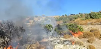 Bodrum'da Yangın Kontrol Altına Alındı