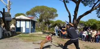 Ayvalık'ta Dünya Hayvanları Koruma Günü Etkinliği Düzenlendi