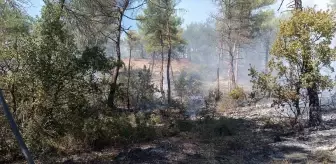 Bolu Göynük'te Yangın Kontrol Altına Alındı