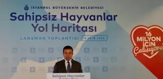 İBB'den Sokak Hayvanları İçin Yeni Stratejiler